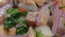Ceviche de Salmão e Saint Peter