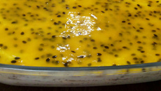 Torta mousse de maracujá