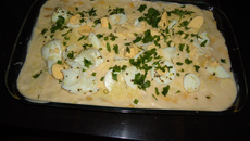 macarrão  italiano á bolonhesa