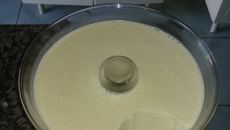 Mousse de leite em pó
