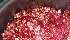 Pipoca de Pipoqueiro