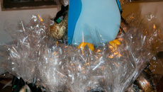 Ovo de Páscoa Andorinha Extra Virgem Vintage