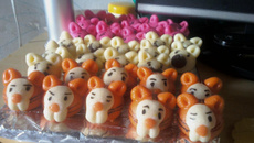 Doce de leite em pó moldado