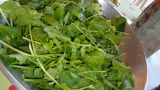 Rúcula do Varela com sal grosso e limão cravo