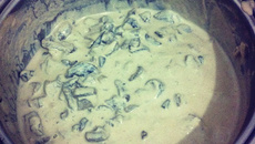 Pasta de funghi ao molho gorgonzola