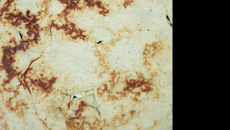 Panqueca de banana proteica