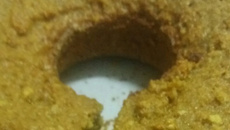 Bolo de cenoura integral