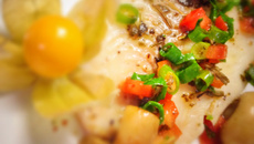 Saint Peter ao molho de vinho branco com cogumelos