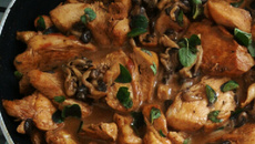 Frango com shimeji e requeijão