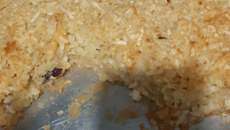 Bolo de mandioca com coco ralado