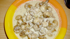 Champignon ao molho de alho