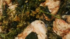 Frango com brócolis e agrião