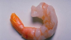 Empanadinho de camarão