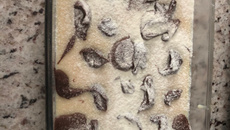 Escondidinho de leite ninho com nutella