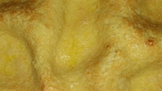 Pão de queijo de tabuleiro