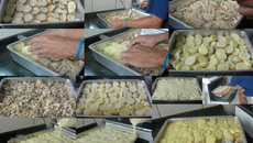 Torta Rápida de Bacalhau