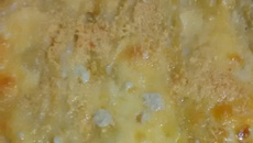 Lasanha aos quatro queijos