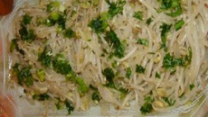 Moyashi - broto de feijão