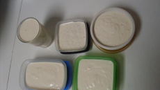 Requeijão caseiro com sabores (orégano, alho, tradicional)