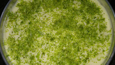 Pavê de limão com biscoito maizena