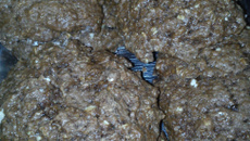 Bolachas de aveia e chocolate