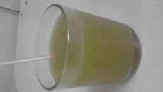 Suco refrescante de kiwi
