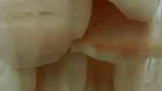 Bolacha de nata com polvilho doce