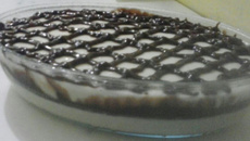 Pavê de mousse de cupuaçu com chocolate