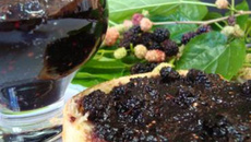 Geleia de amora da Monica de Friends