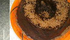 Bolo de chocolate fácil