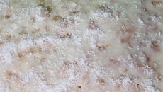 Bolo toalha felpuda de liquidificador