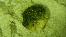 Purê de brócolis
