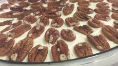 Estrogonozes da Jaque