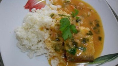 Tilápia ao molho branco