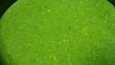 Sopa creme de espinafre