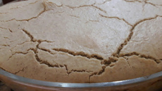 Torta salgada de farinha aveia