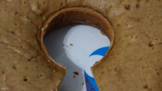 Bolo falso pão de mel (sem ovo)