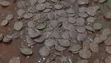 Torta de chocolate com massa podre