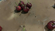 Delícia de chocolate da Rebeca