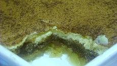 Delícia fresca de maçã