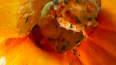 Camarão na moranga no micro-ondas