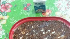 Manjar de leite condensado e coco