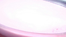 Gelatina com creme delicioso