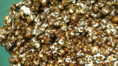 Pipoca doce tia Dete