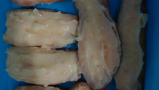 Monteiro Lopes com fubá