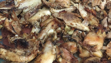 Frango no forno com creme de cebola