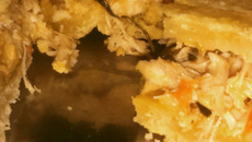 Torta de frango simples