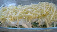 Canelone regado ao molho branco