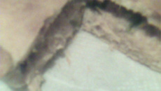 Empadinha de frango do Valdir