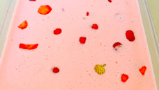 Gelatina bicolor da Mel